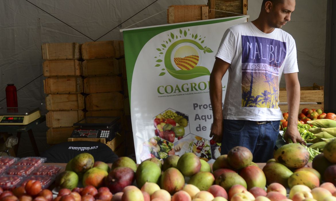 São Paulo - 1º Festival Cultural de Economia Solidária de São Paulo e 4ª Feira da Agricultura Familiar integram a primeira edição do Ecosol Fest, no Vale do Anhangabaú, região central.(Rovena Rosa/Agência Brasil)