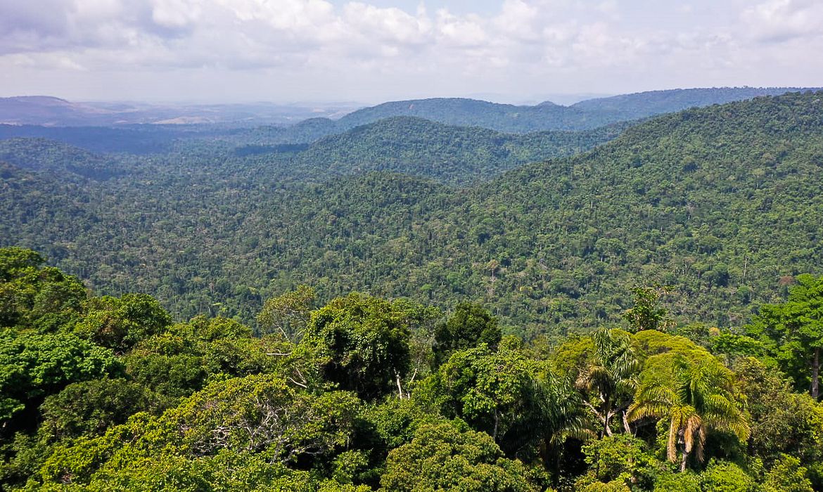 O vice-presidente da República, Hamilton Mourão, e os chefes de missões diplomáticas à Amazônia Oriental, fazem sobrevoo para a  sobre a Floresta Nacional de Carajás e visita à mineradora Vale.