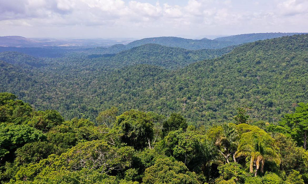 O vice-presidente da República, Hamilton Mourão, e os chefes de missões diplomáticas à Amazônia Oriental, fazem sobrevoo para a  sobre a Floresta Nacional de Carajás e visita à mineradora Vale.